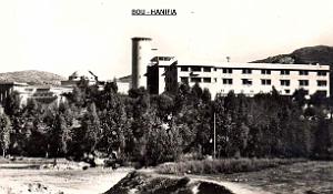 Bou Hanifia 607 
